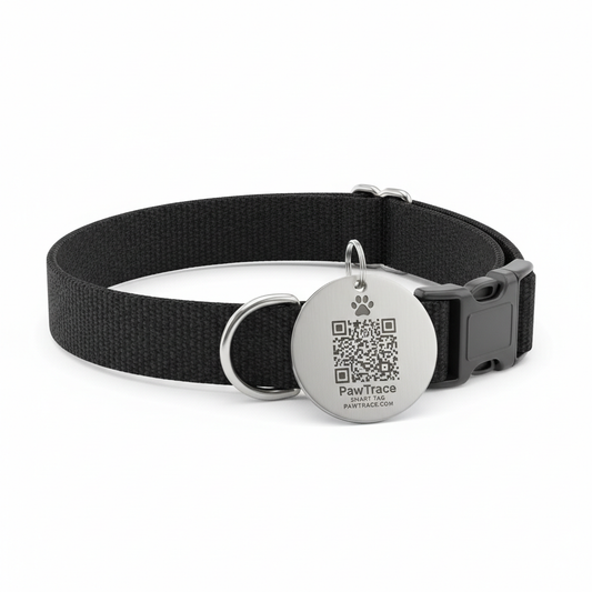 PawTrace Smart QR Pet Tag on a dog collar